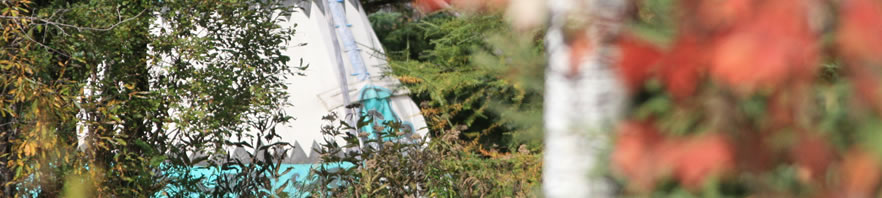 Un tipi vu de la for&ecirc;t